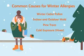 Get Ready A Severe Winter Could Bring on a Severe Allergy Season